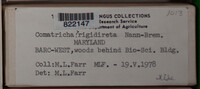 Image Associated With the Occurence